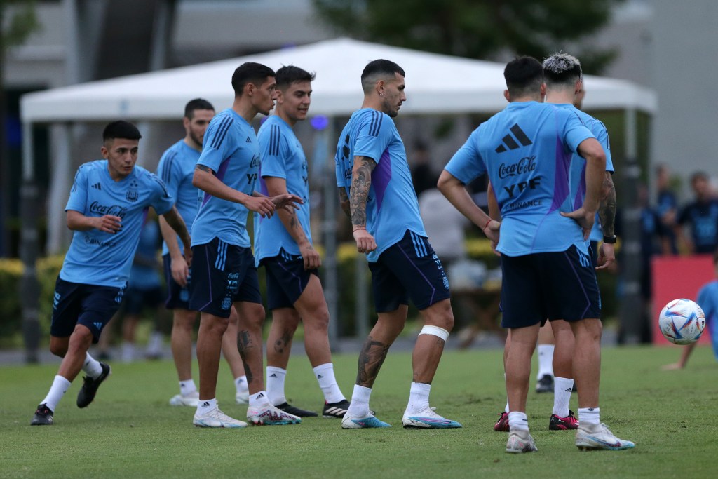 Argentina tiene casi confirmados los amistosos de&nbsp;junio